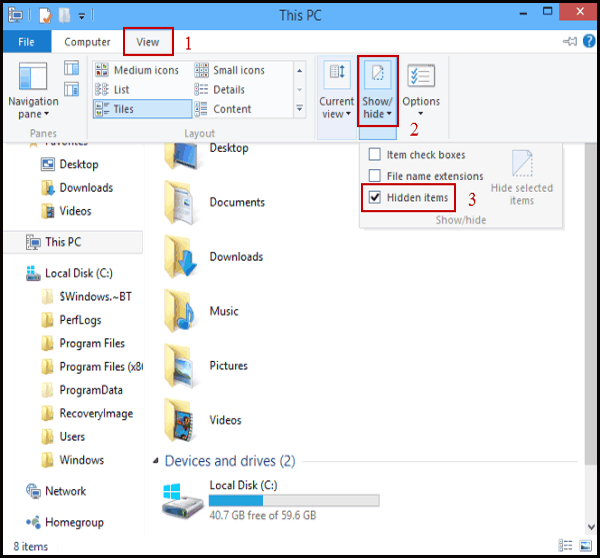 Show Hidden Files On Windows 8 and 10