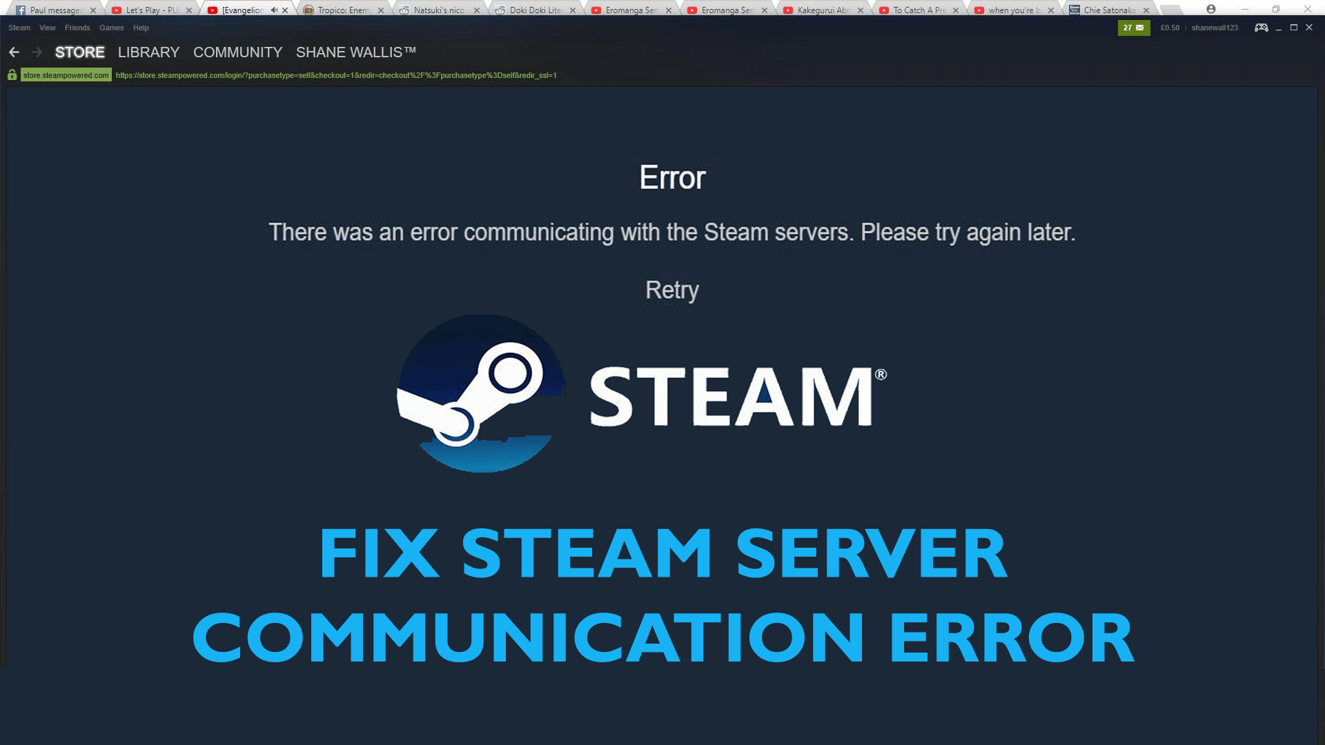 error communicating with the Steam servers