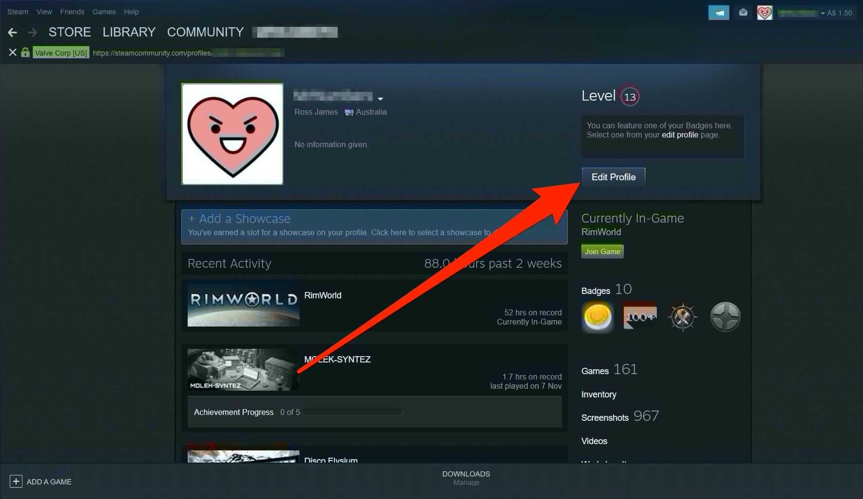 How to Hide Your Gameplay Activity in Steam Profile and Chat - MajorGeeks