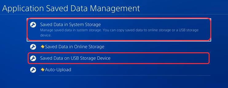 Saved Data on USB Storage Device