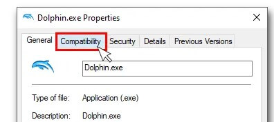 Dolphin Emulator Not Detecting Controller