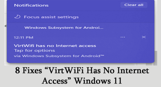 VirtWiFi Has No Internet Access