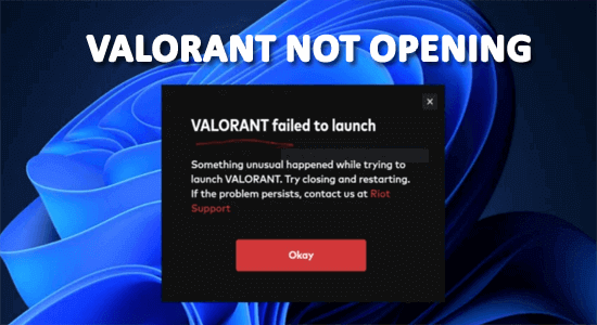 Valorant Not Opening