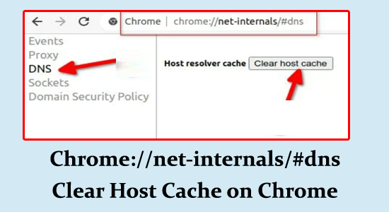 Chrome://net-internals/#dns Clear Host Cache on Chrome